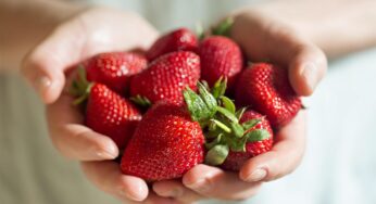 Çileğin faydaları nelerdir? Çileğin 14 mucize faydası